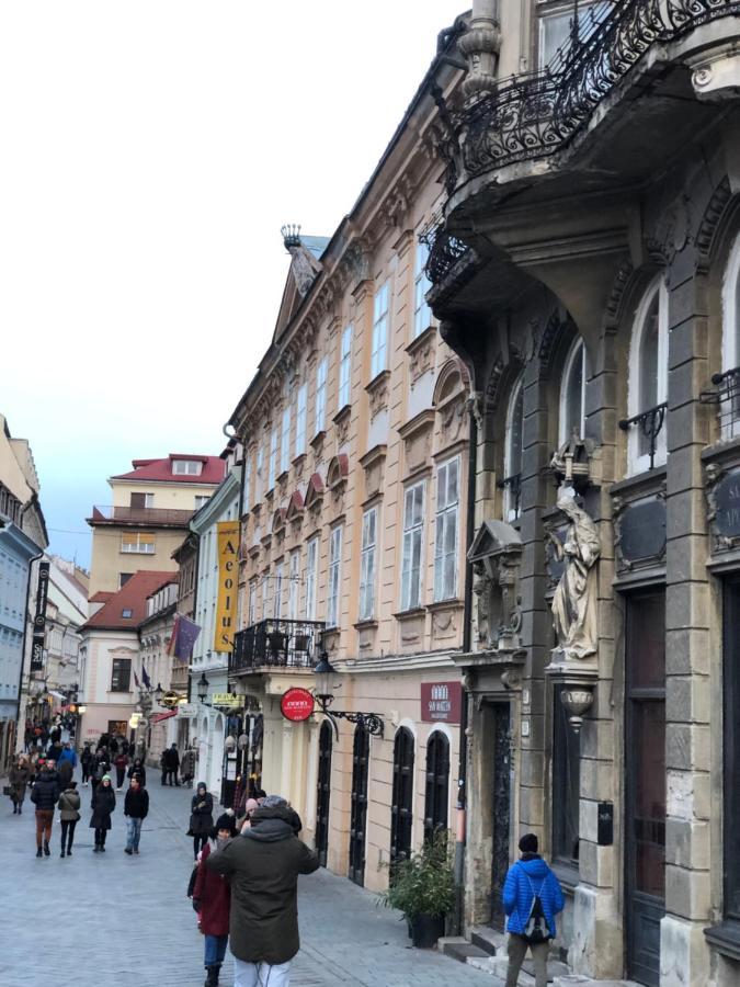 Pleasant Apartment Under The Bratislava Castle 外观 照片