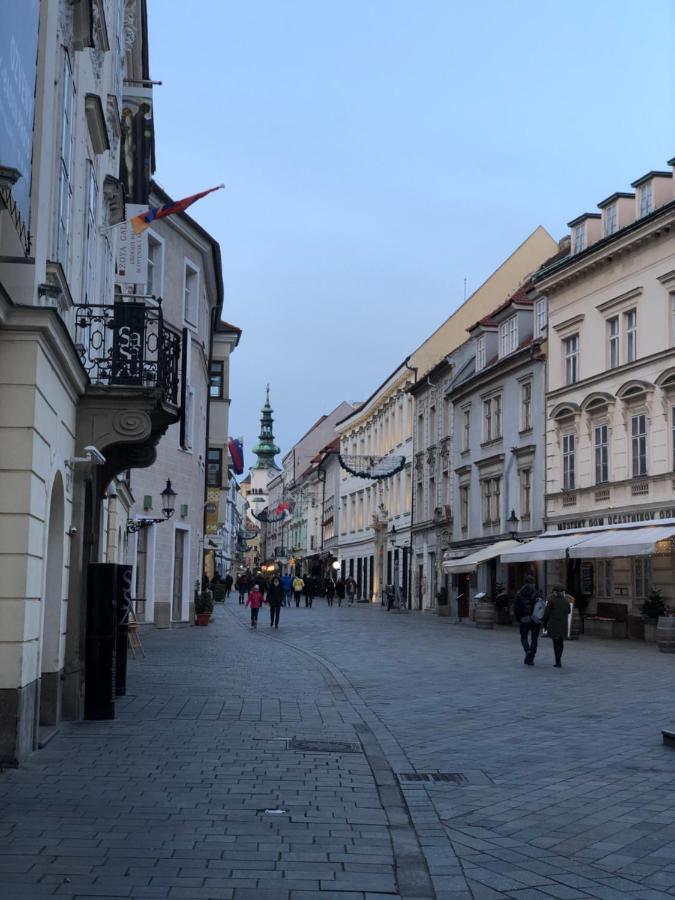 Pleasant Apartment Under The Bratislava Castle 外观 照片